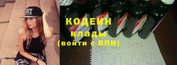 спиды Богородицк