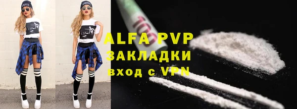 спиды Богородицк
