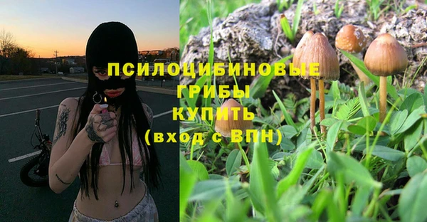 спиды Богородицк