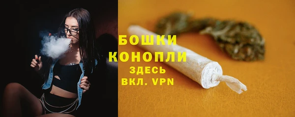 spice Богданович
