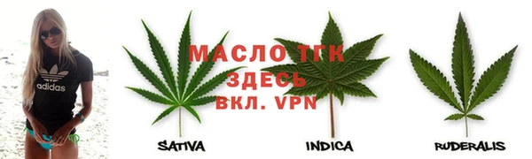 спиды Богородицк