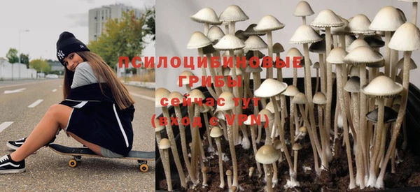 spice Богданович