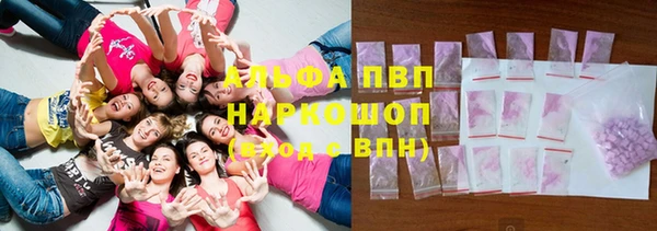 spice Богданович