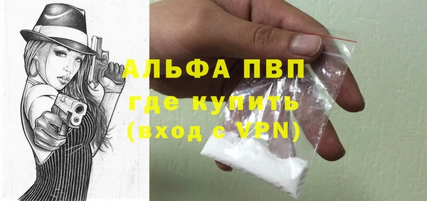 spice Богданович