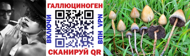 цена наркотик  Белый  Псилоцибиновые грибы Cubensis 